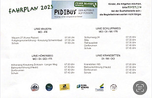 pedibus-steinach2023_pedibusfahrplan2023.jpg